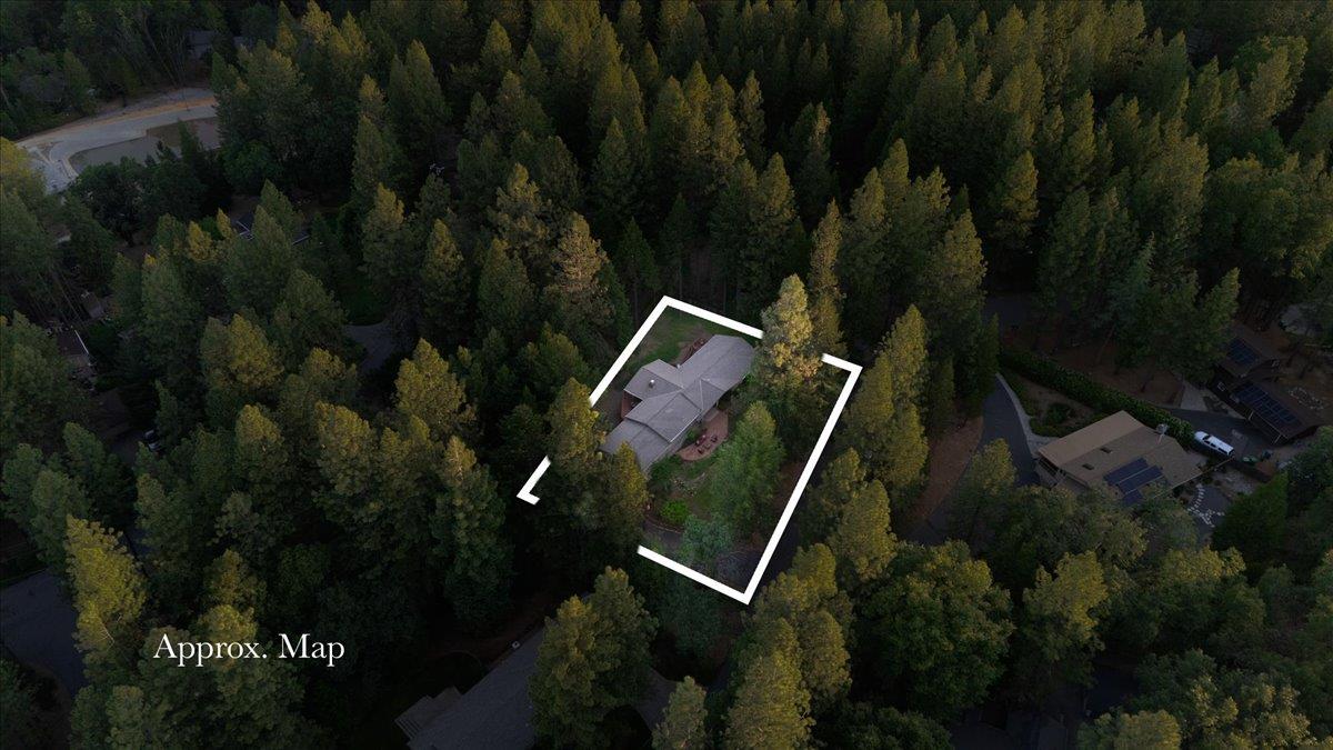 Tree Top Circle, Nevada City, California image 49