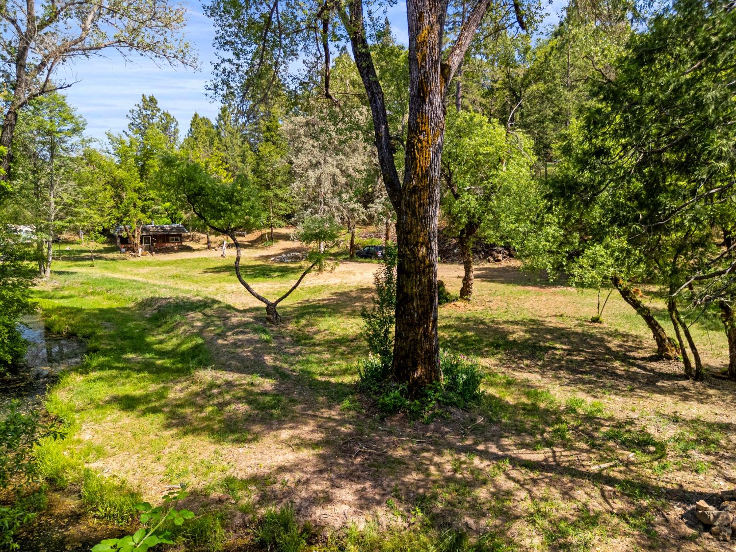 Newtown Road, Nevada City, California image 17
