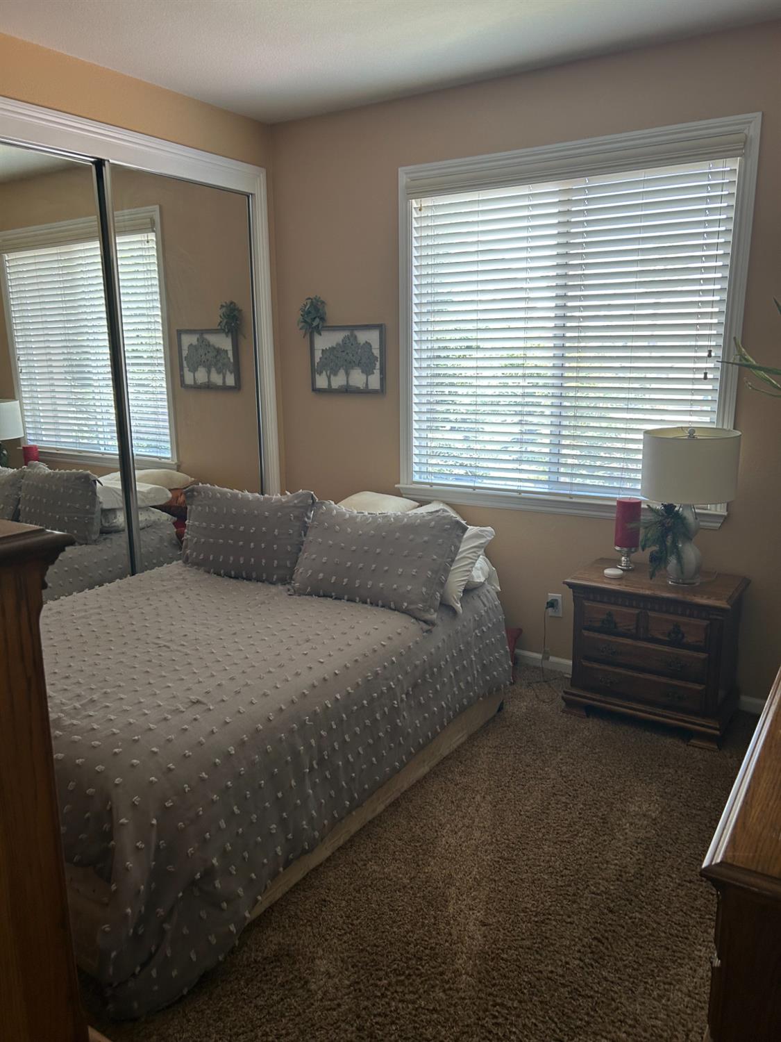 Coconut Palm Way, Modesto, California image 10