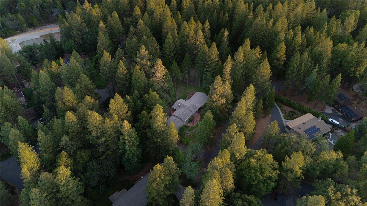 Tree Top Circle, Nevada City, California image 47