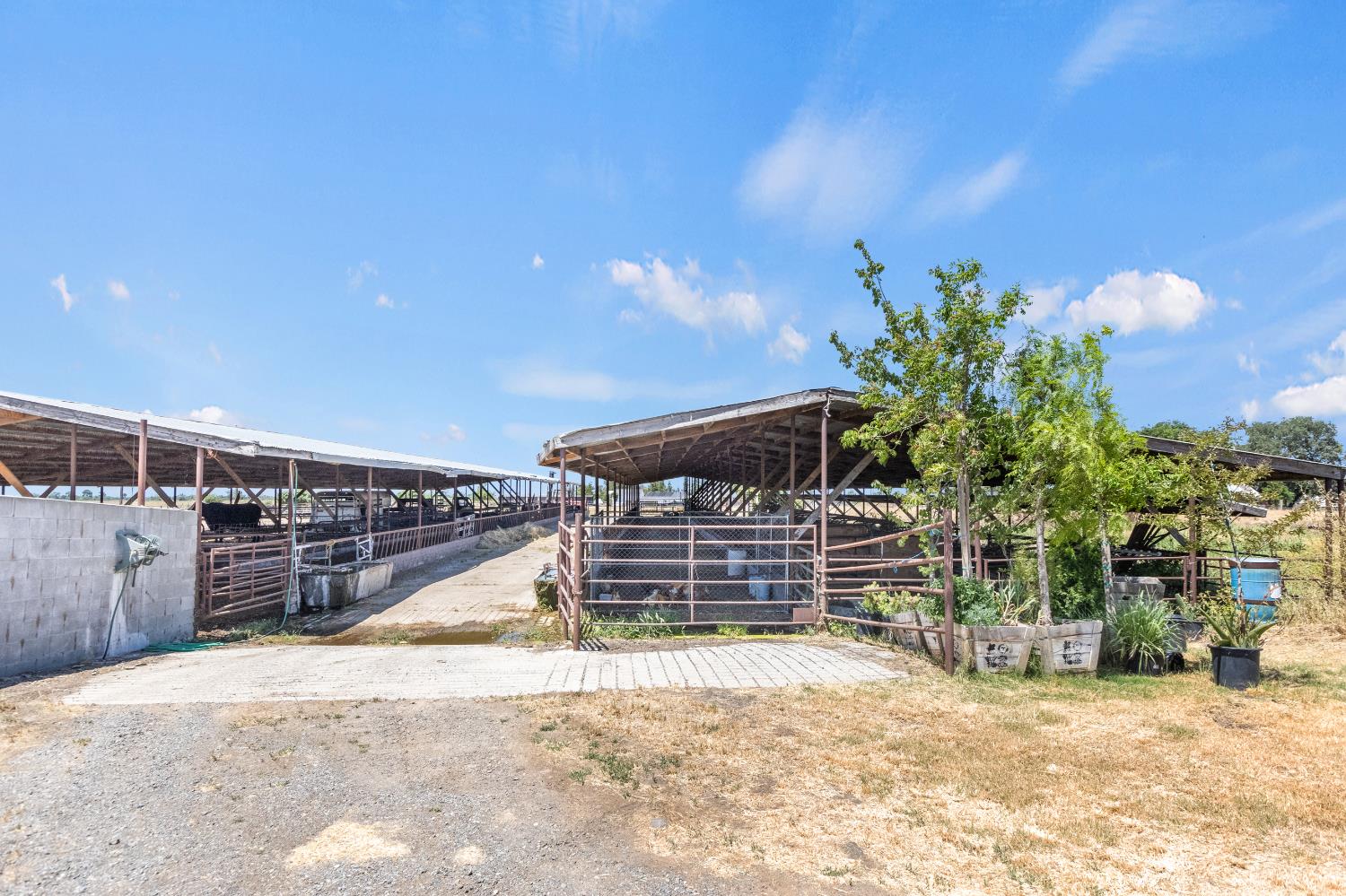 Korn Road, Elk Grove, California image 8