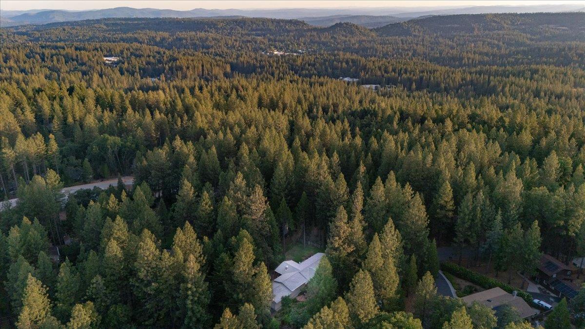Tree Top Circle, Nevada City, California image 46