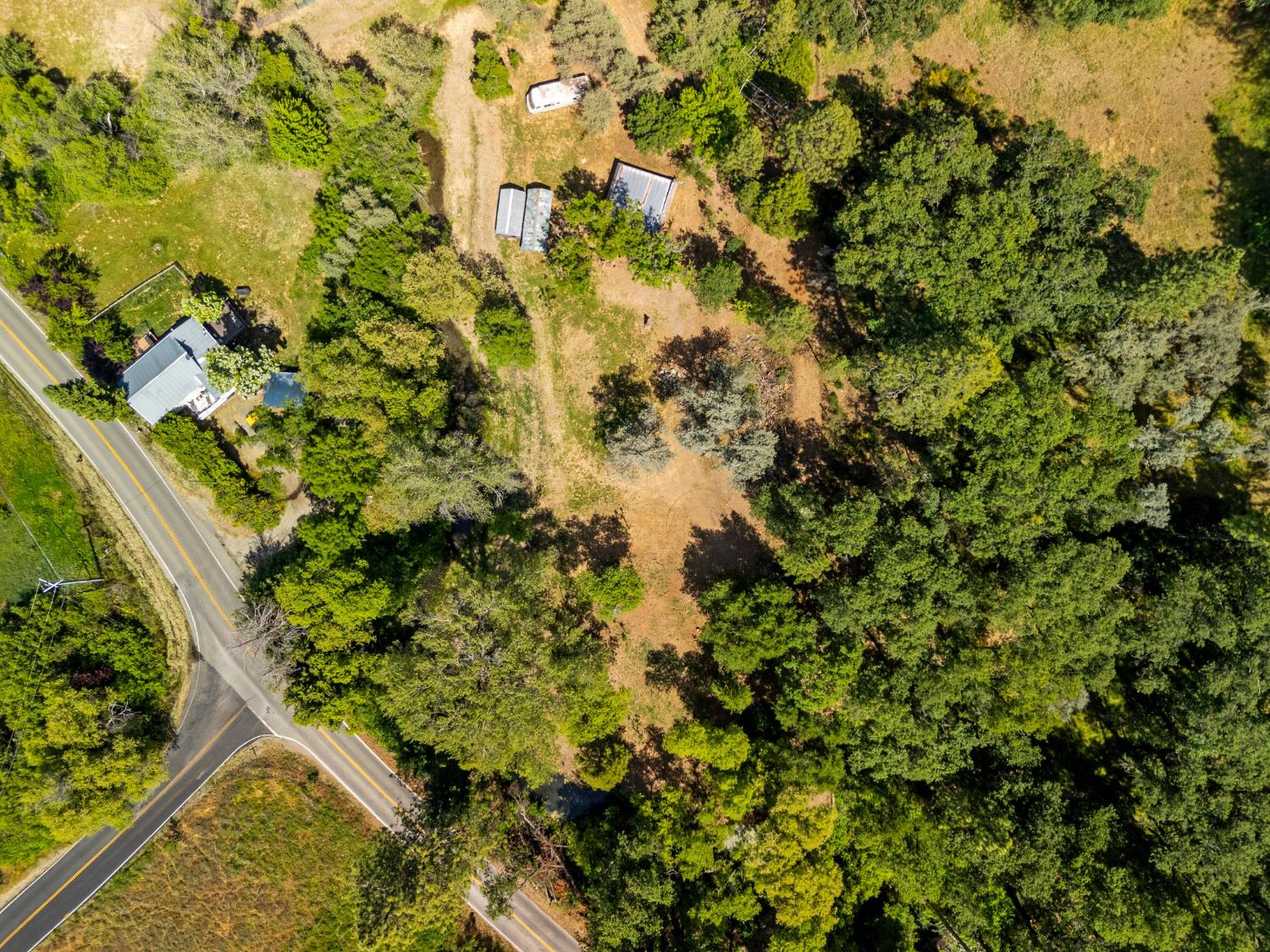 Newtown Road, Nevada City, California image 23