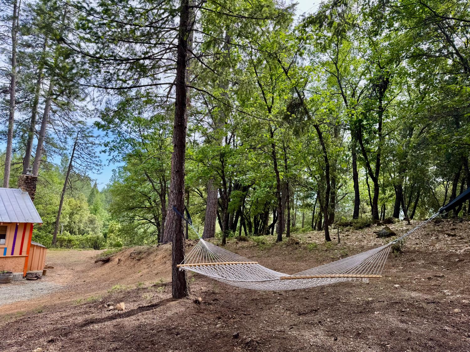 Jones Ridge Road, Grass Valley, California image 8