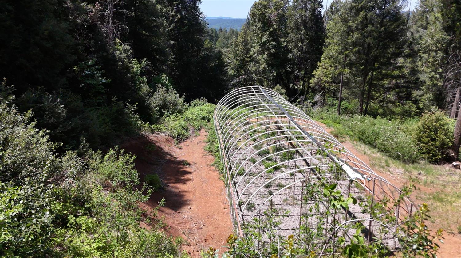 Holiday Way, Nevada City, California image 9