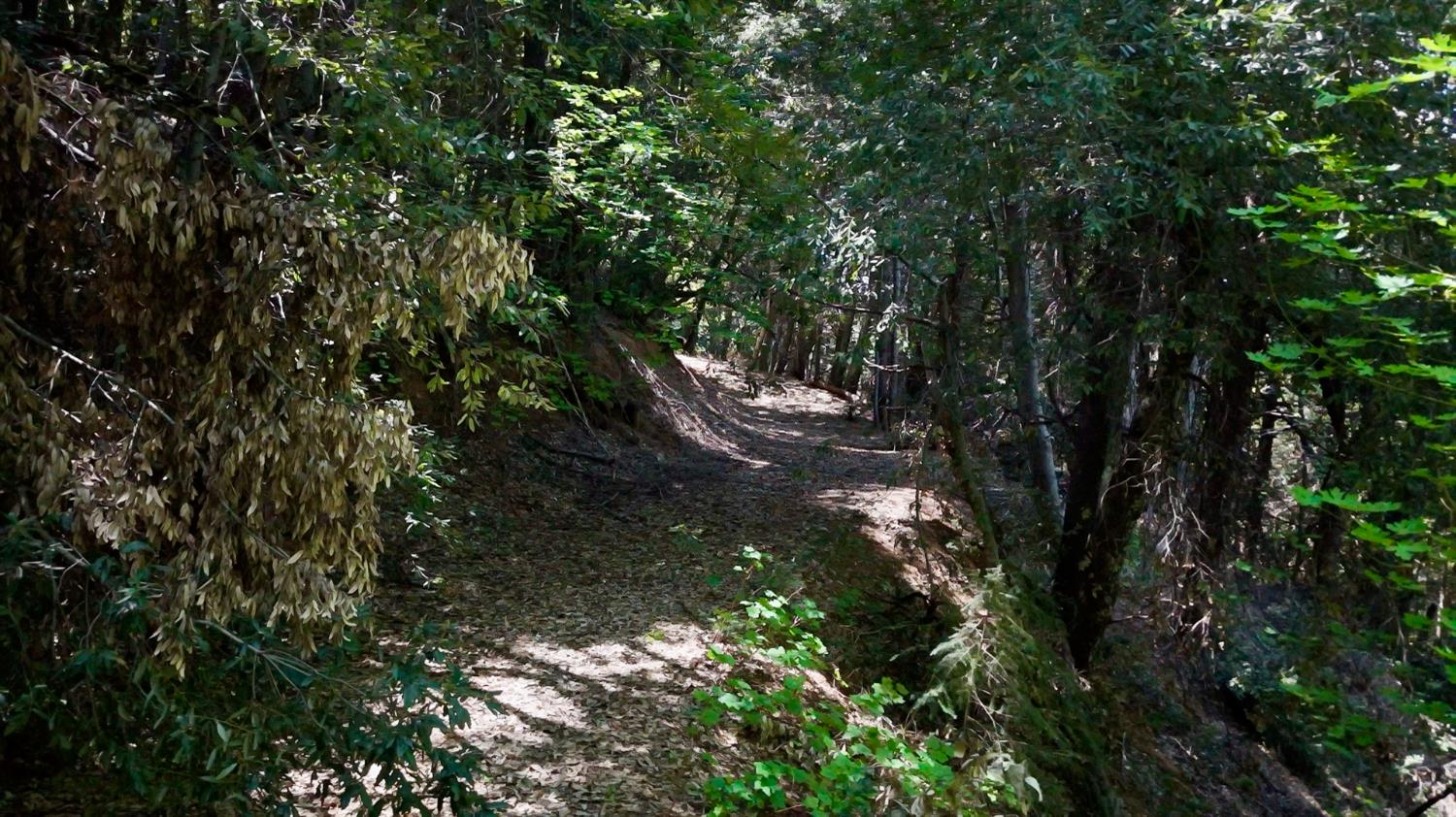 Holiday Way, Nevada City, California image 31