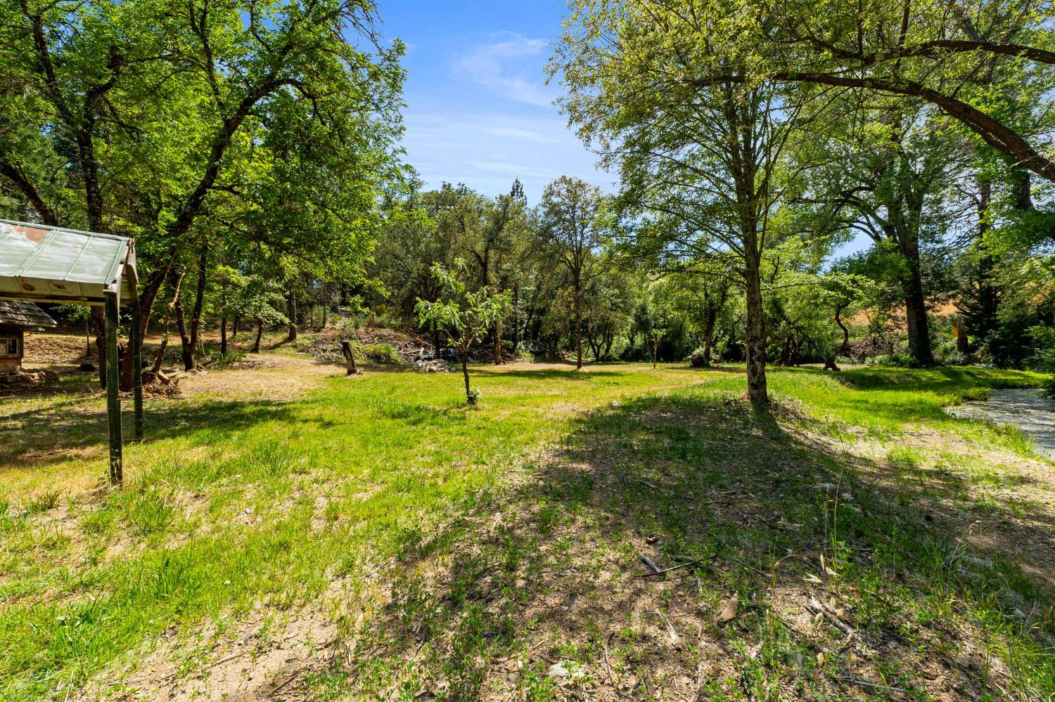 Newtown Road, Nevada City, California image 15