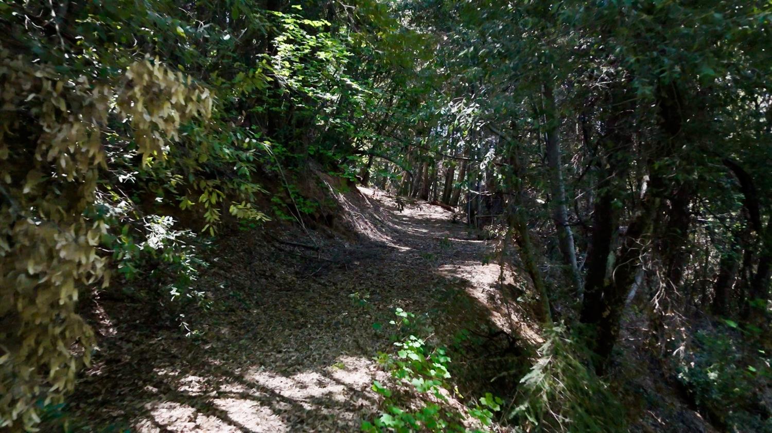 Holiday Way, Nevada City, California image 30