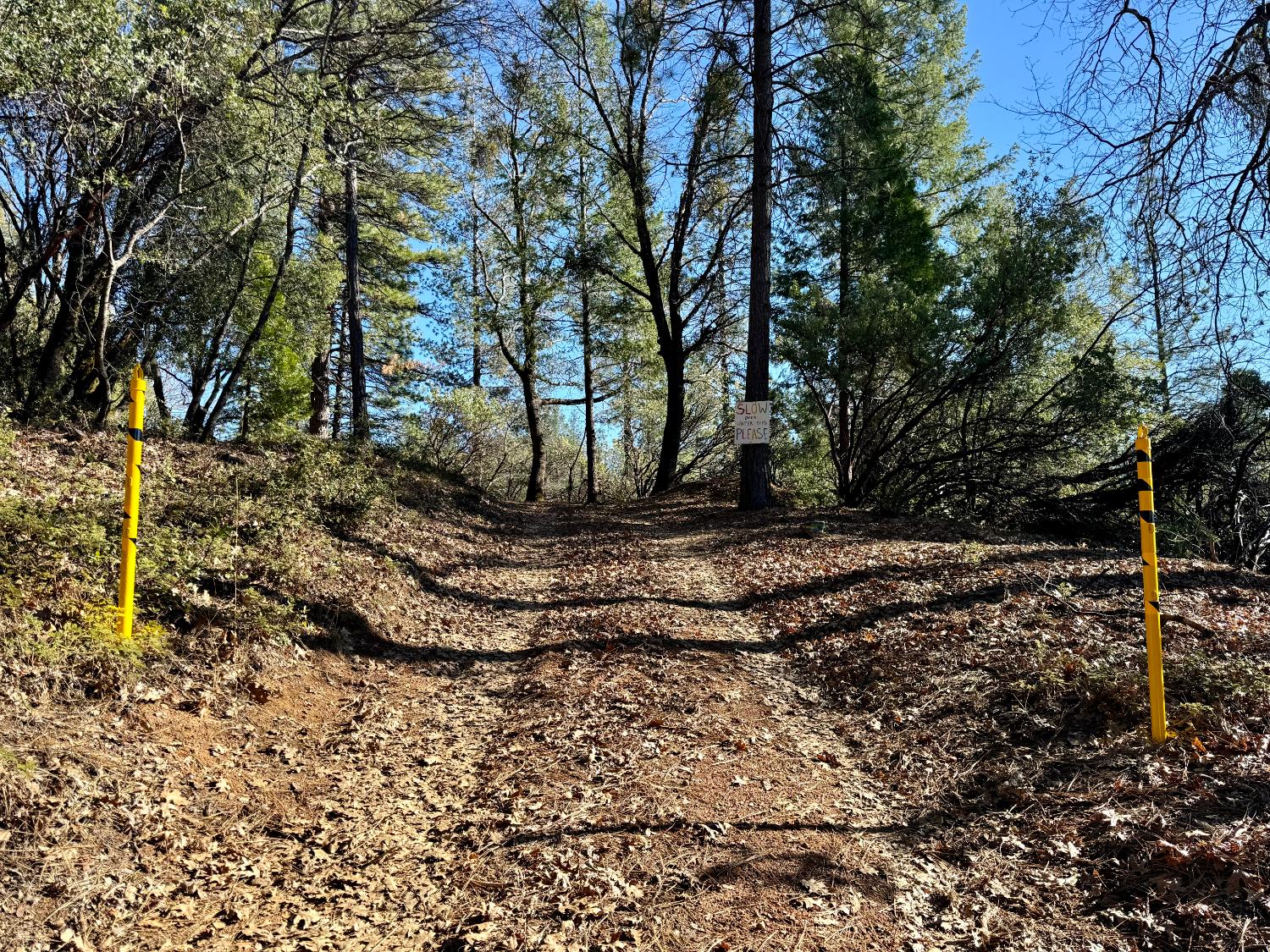 Jones Ridge Road, Grass Valley, California image 23
