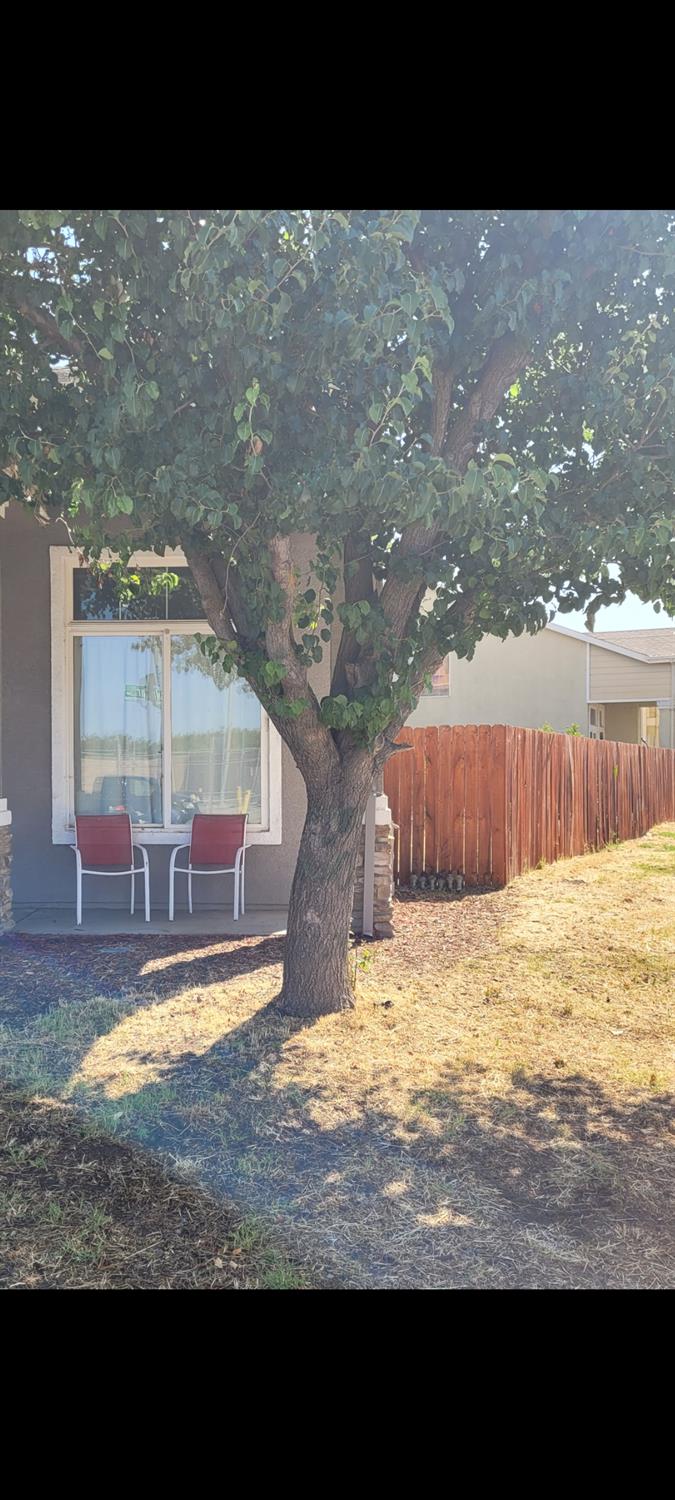St Salazar Circle, Modesto, California image 6