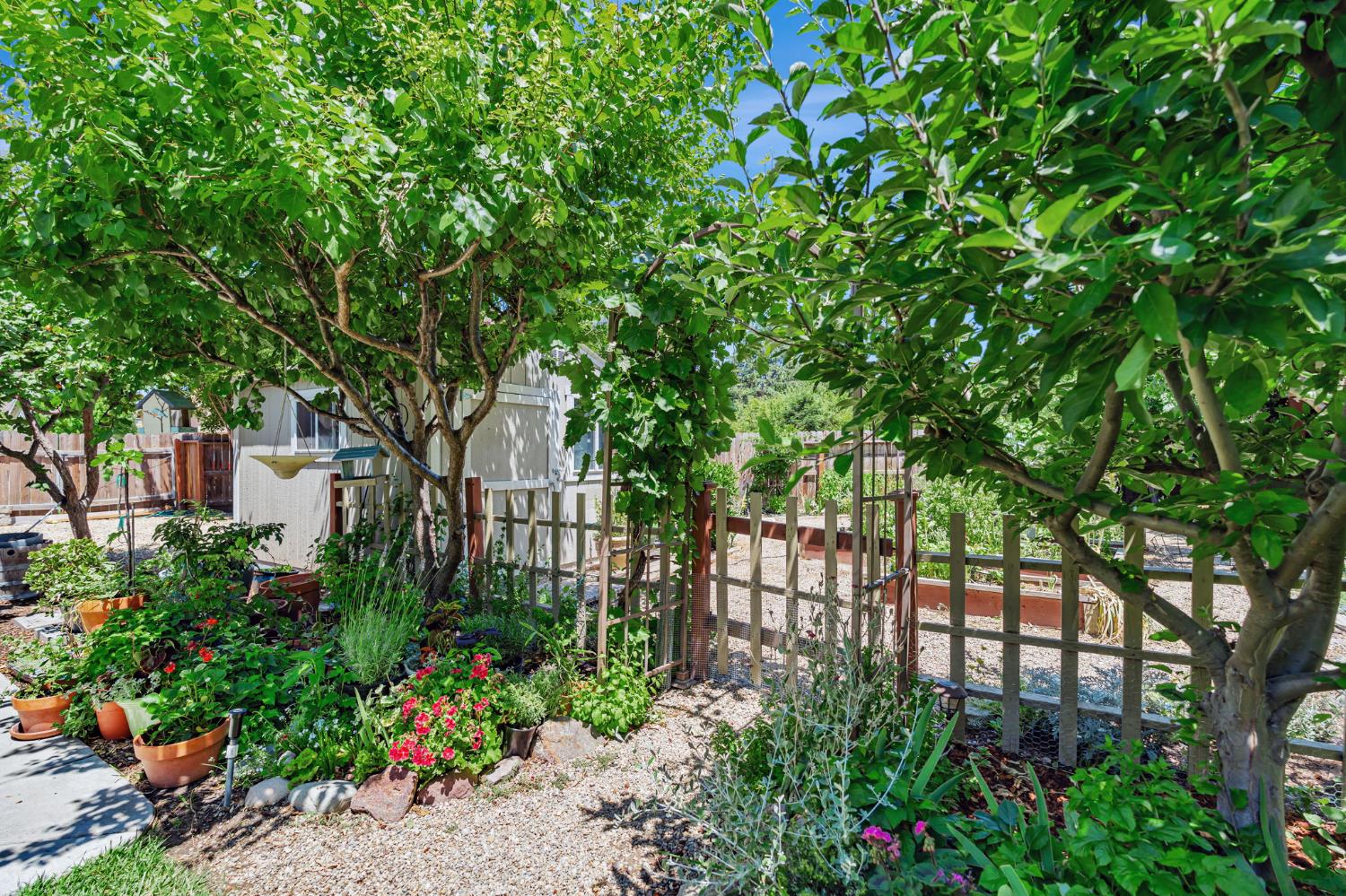 Monte Oro Street, Manteca, California image 41