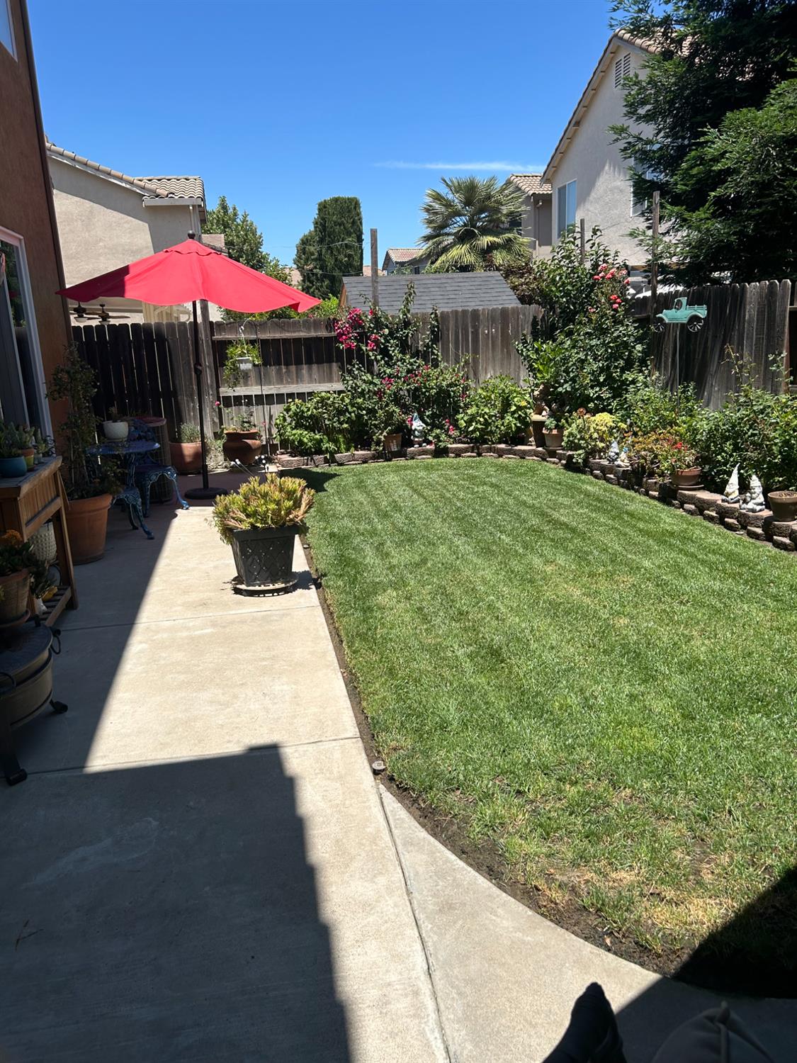 Coconut Palm Way, Modesto, California image 16