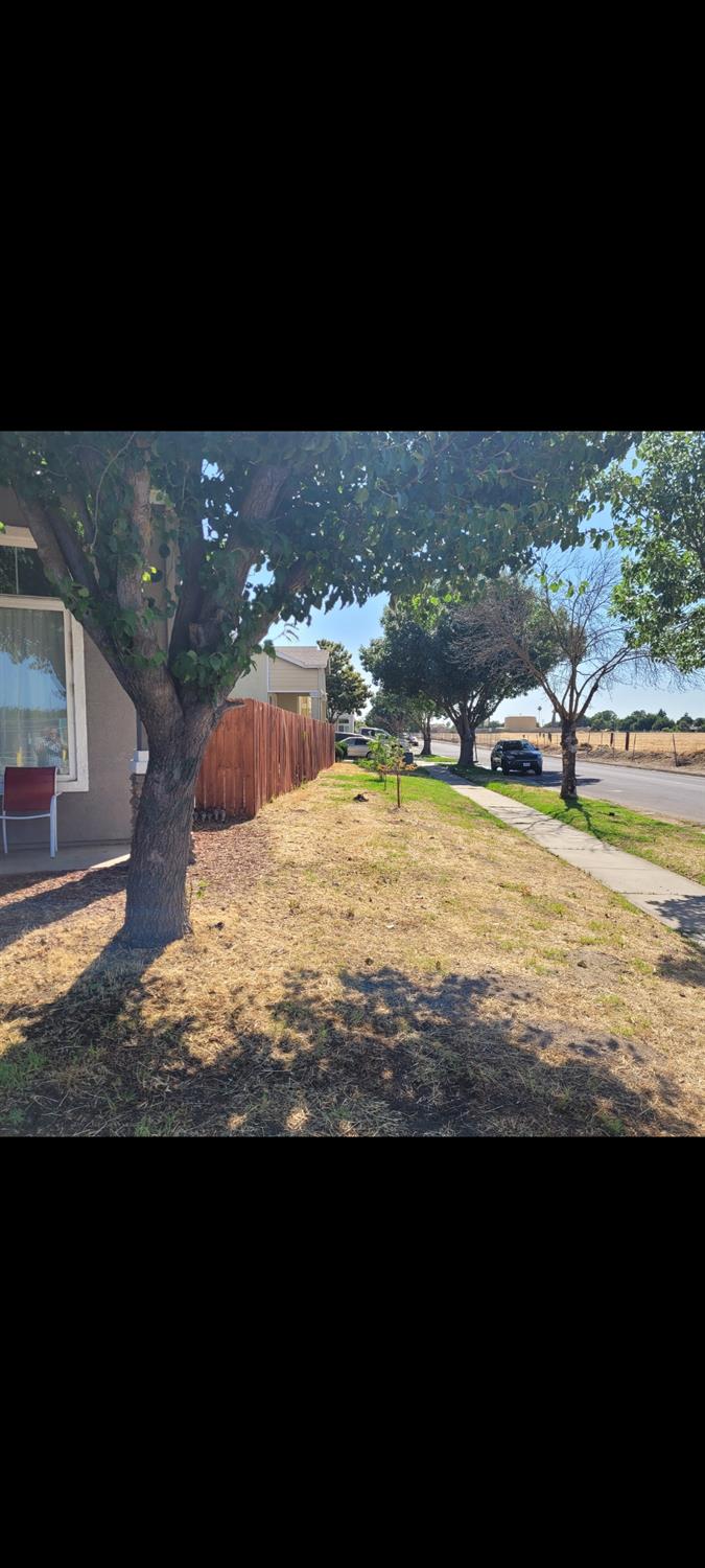 St Salazar Circle, Modesto, California image 13