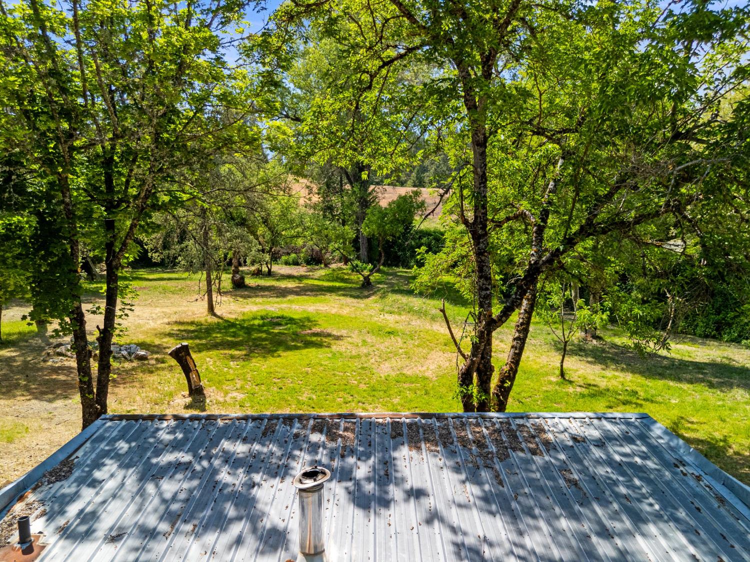 Newtown Road, Nevada City, California image 9