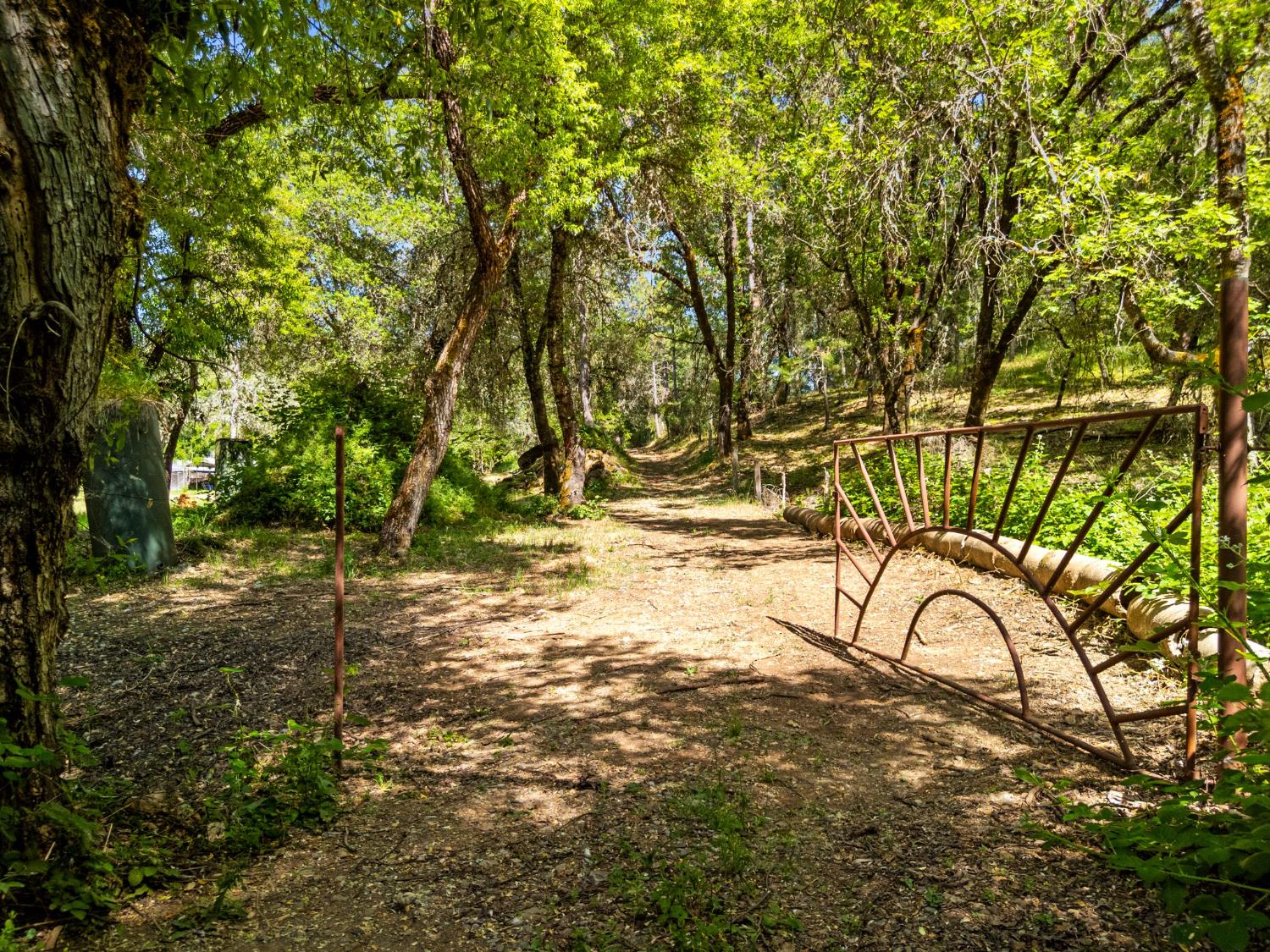 Newtown Road, Nevada City, California image 5