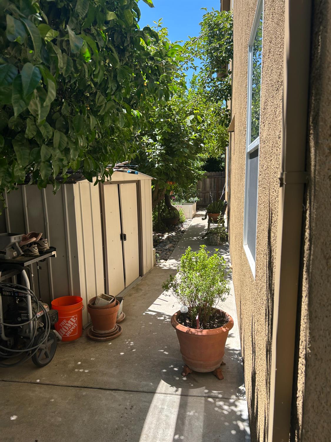Coconut Palm Way, Modesto, California image 18