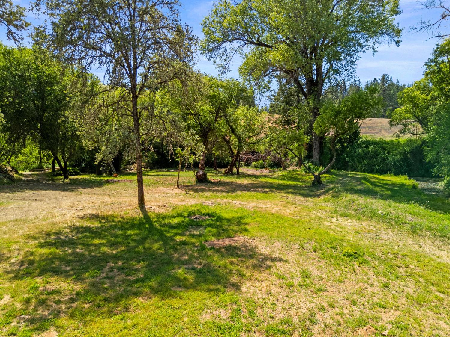 Newtown Road, Nevada City, California image 18