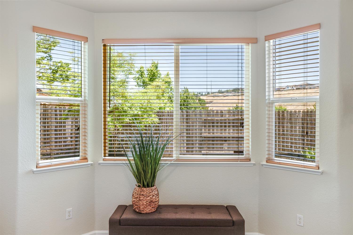 Zittel Drive, Folsom, California image 19