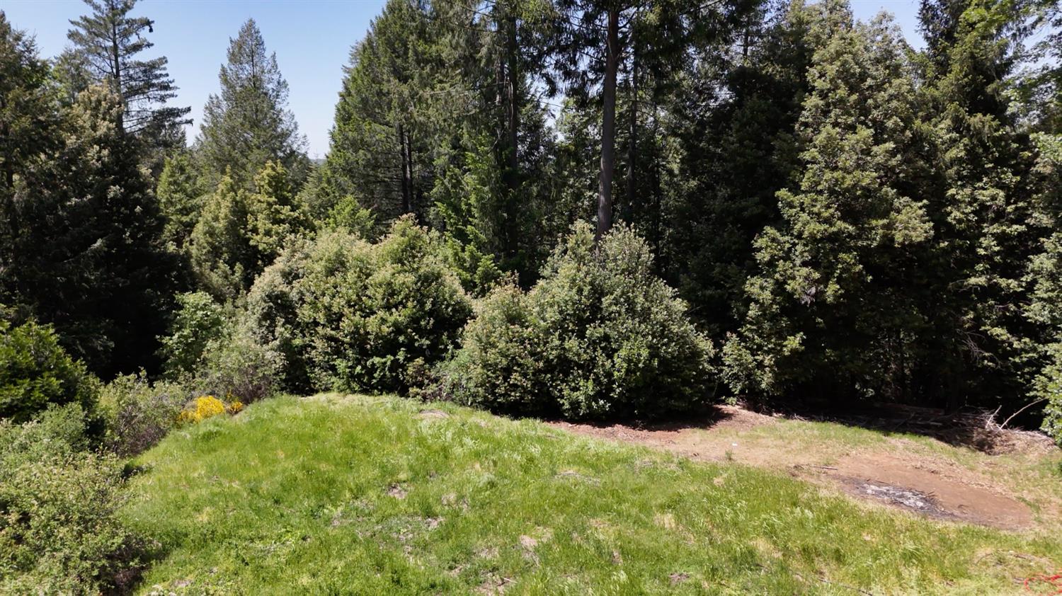 Holiday Way, Nevada City, California image 35