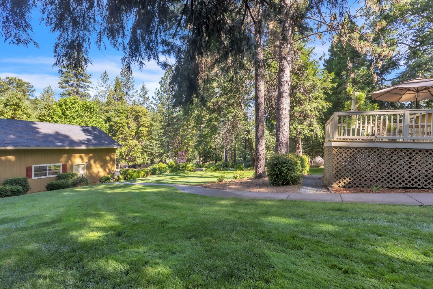 Cold Springs Drive, Foresthill, California image 39