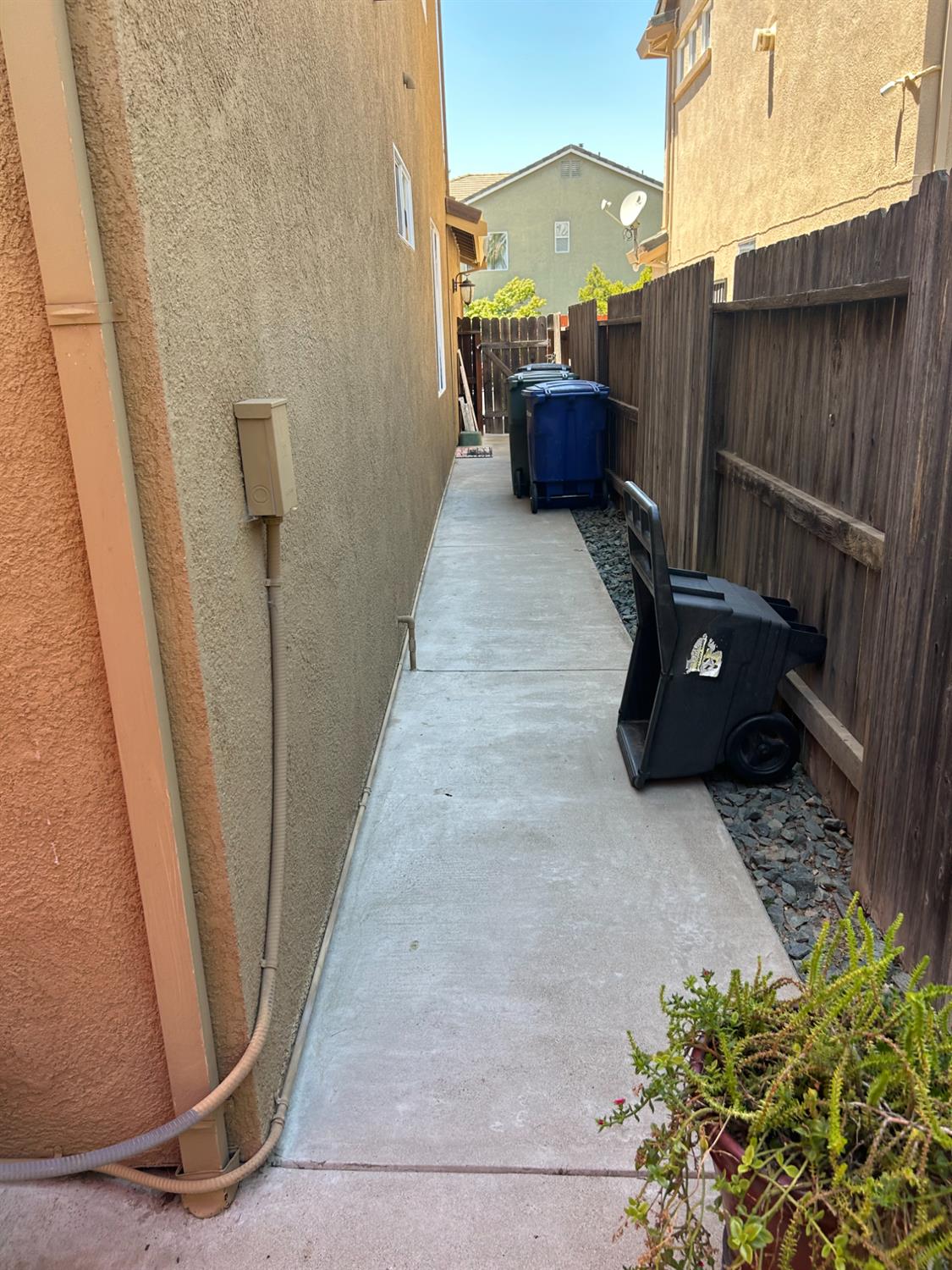 Coconut Palm Way, Modesto, California image 19