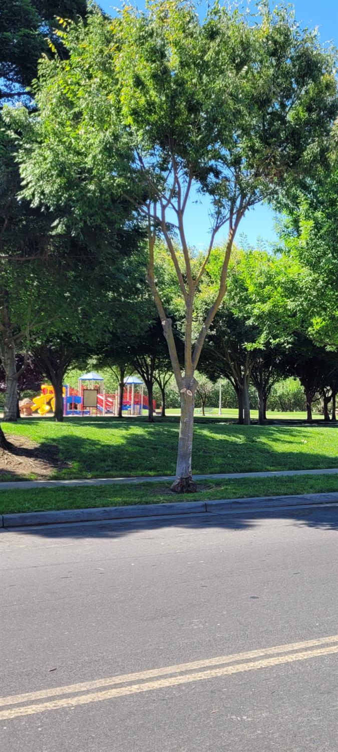 St Salazar Circle, Modesto, California image 17