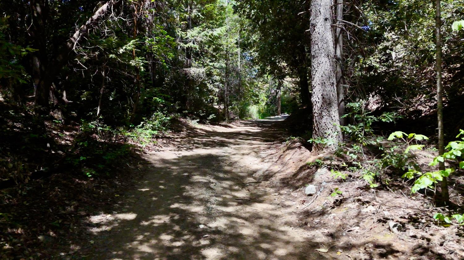 Holiday Way, Nevada City, California image 10