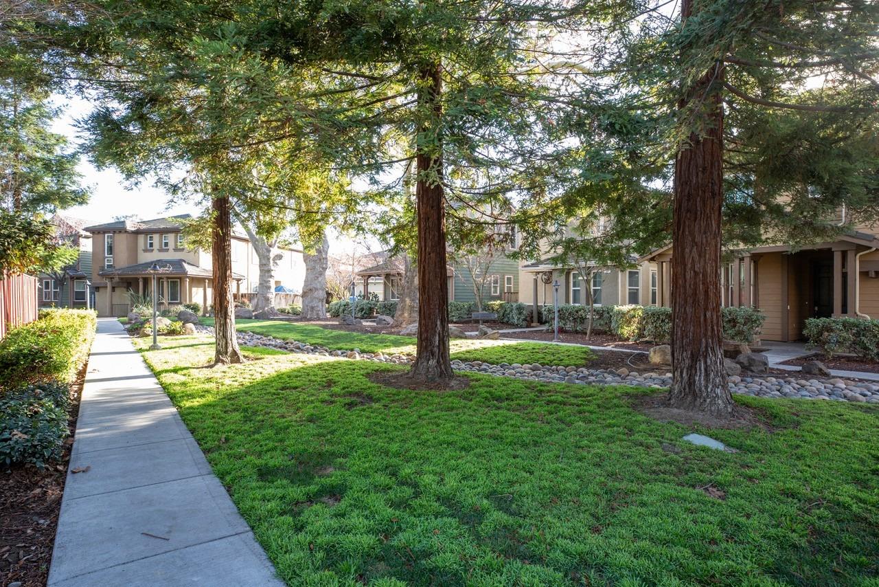 Valley Oak Terrace, San Jose, California image 22