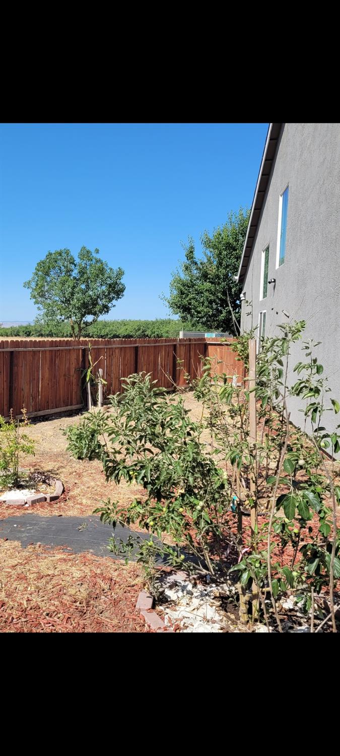 St Salazar Circle, Modesto, California image 9