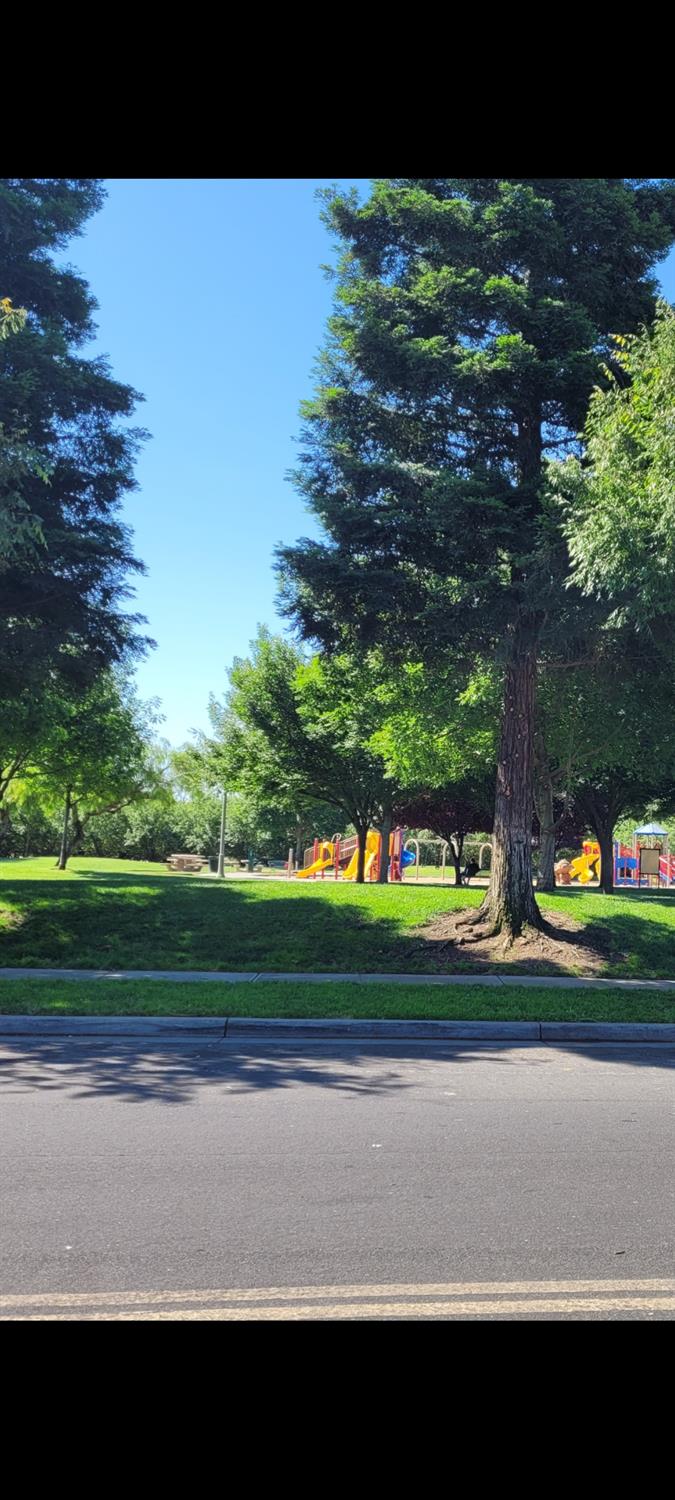 St Salazar Circle, Modesto, California image 15