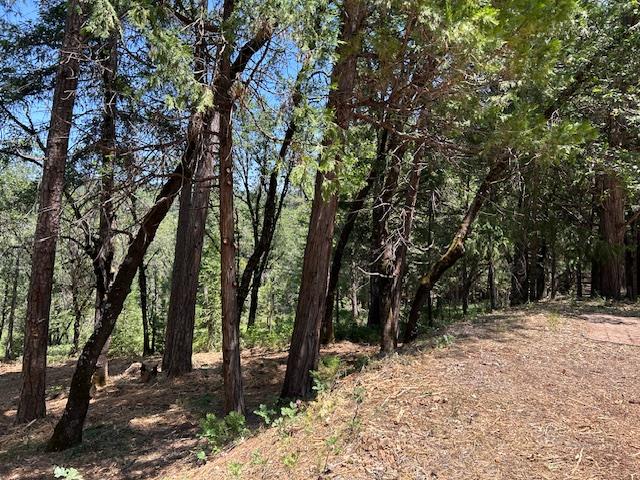 Pearson Road, Grass Valley, California image 24