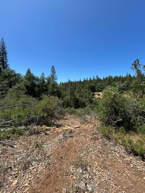 Pearson Road, Grass Valley, California image 4