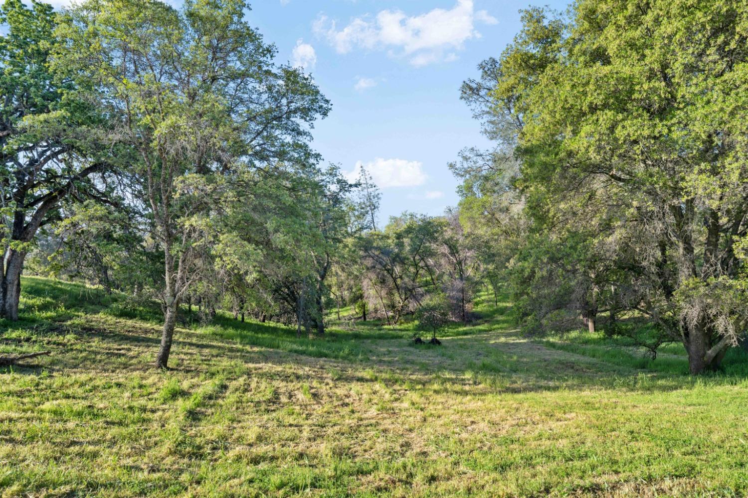 Maranatha Lane, Lincoln, California image 9