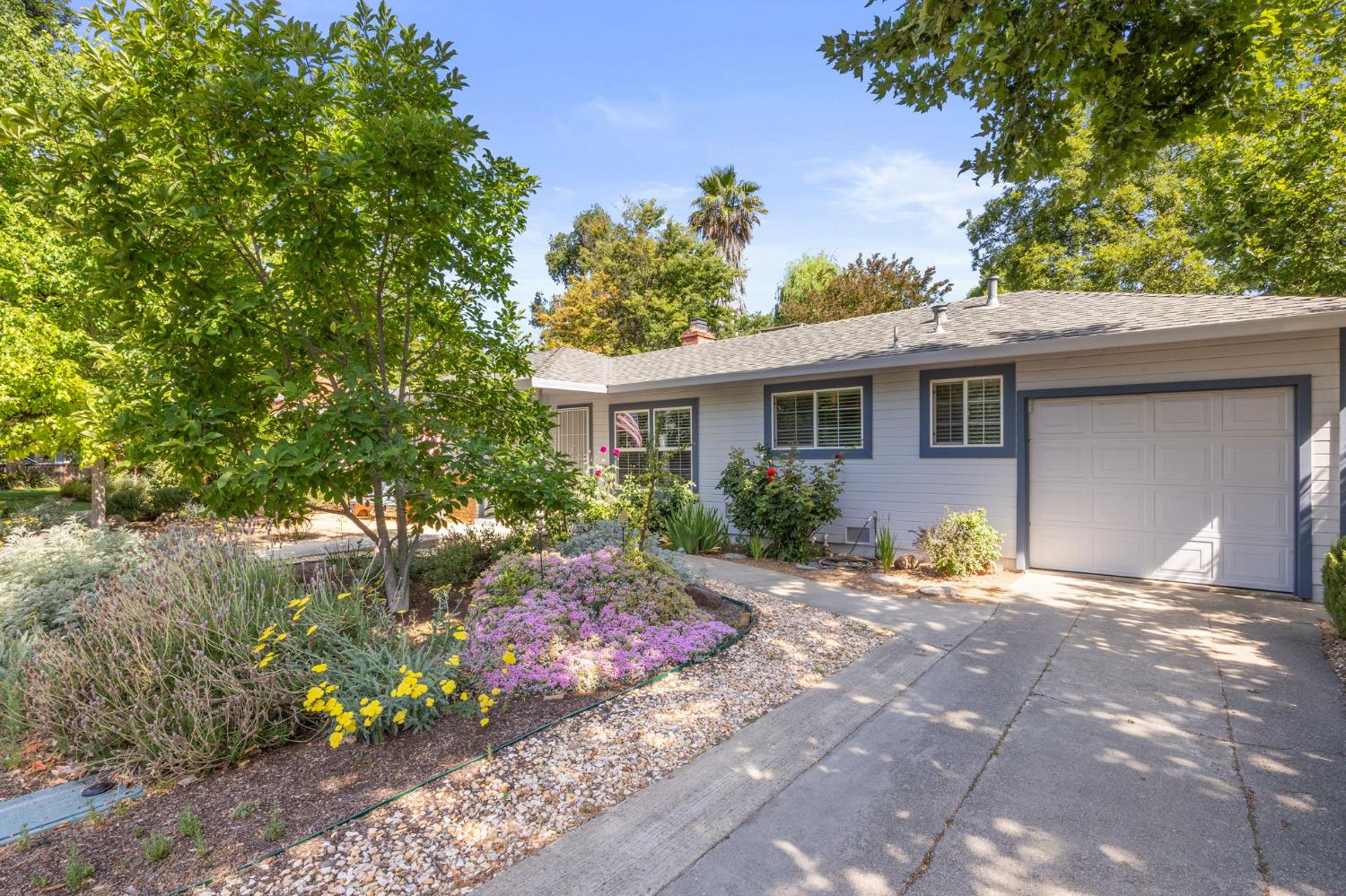 Rosewood Way, Woodland, California image 6