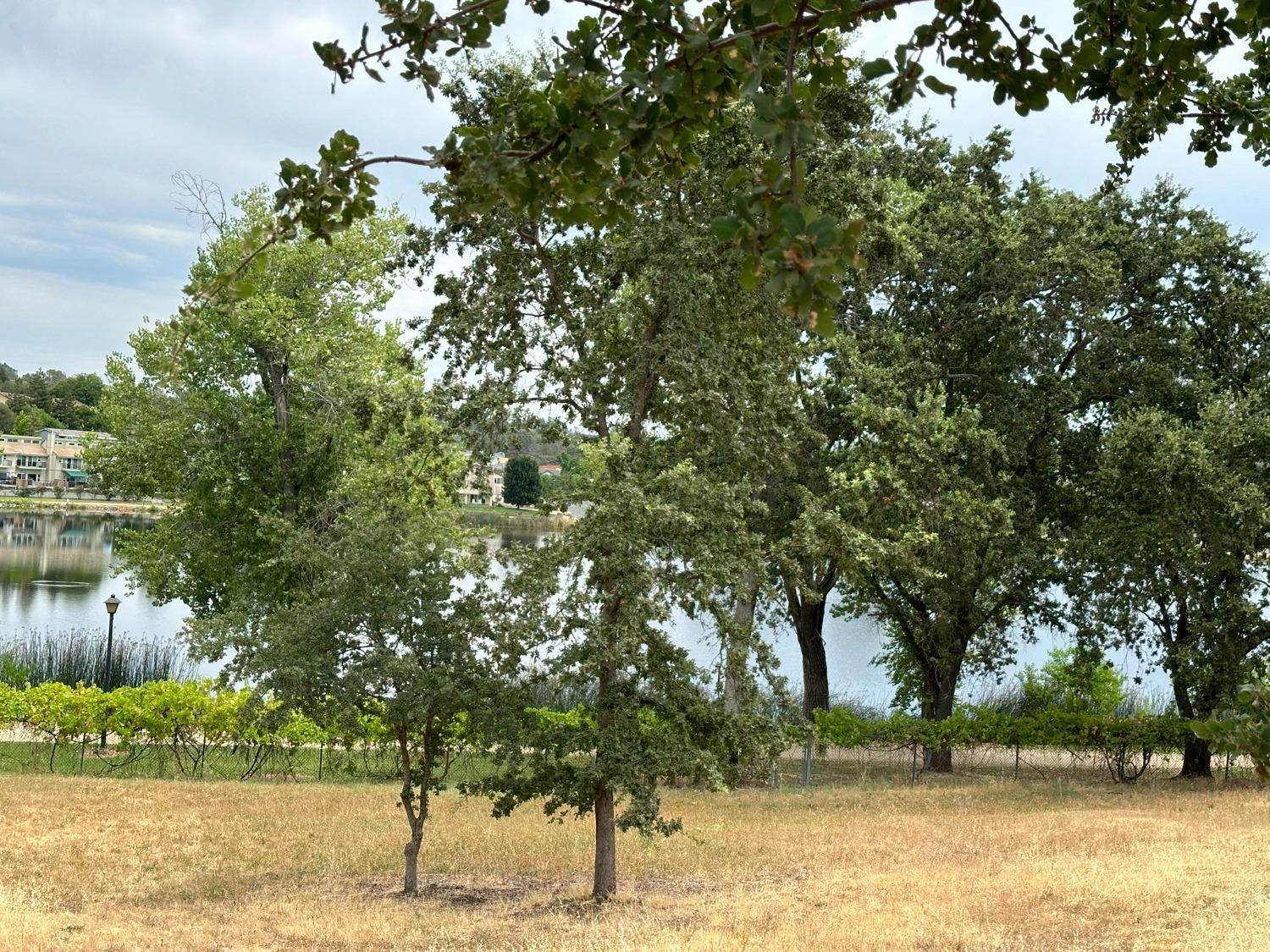 Cambridge Road, Cameron Park, California image 2
