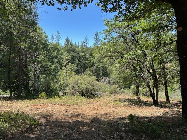 Pearson Road, Grass Valley, California image 3