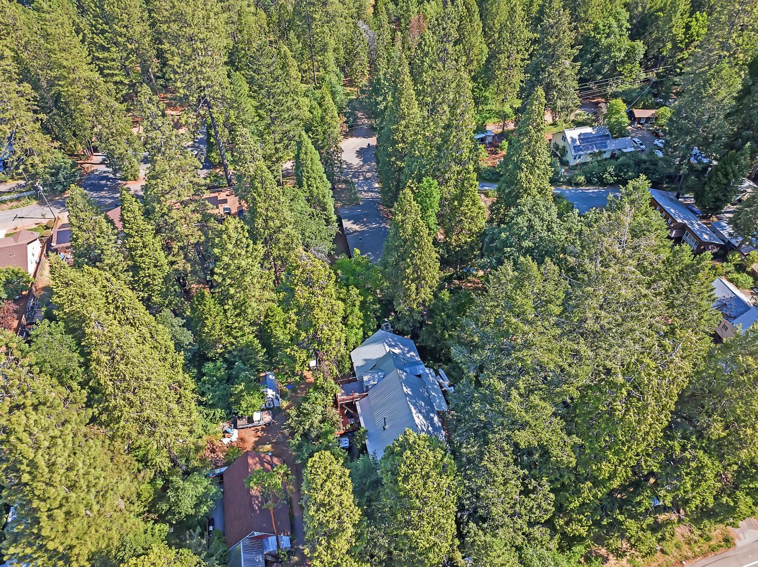 Harrison Street, Foresthill, California image 44
