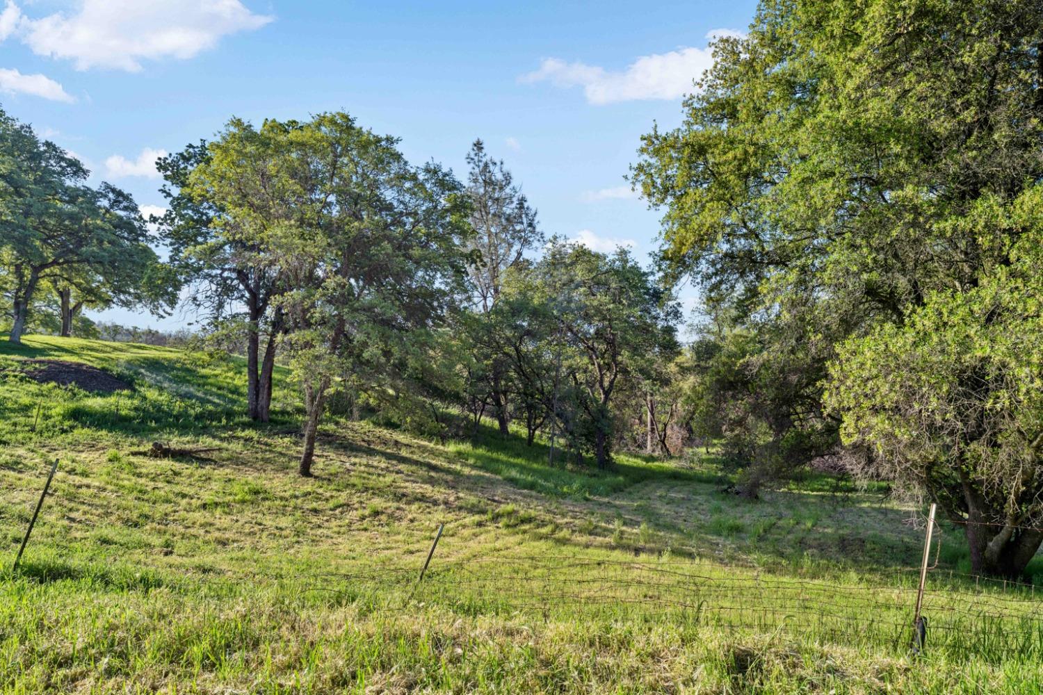 Maranatha Lane, Lincoln, California image 8