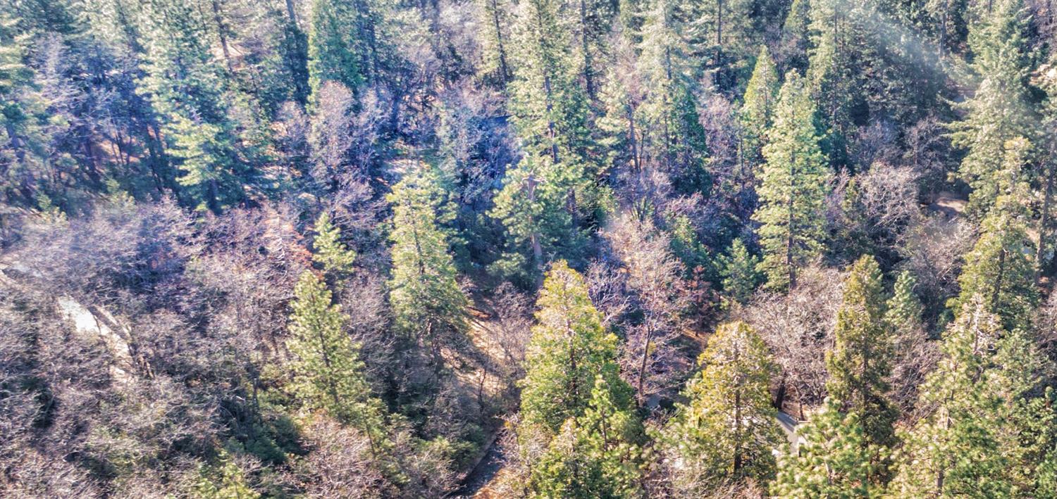 Awahanee Road, Sonora, California image 3