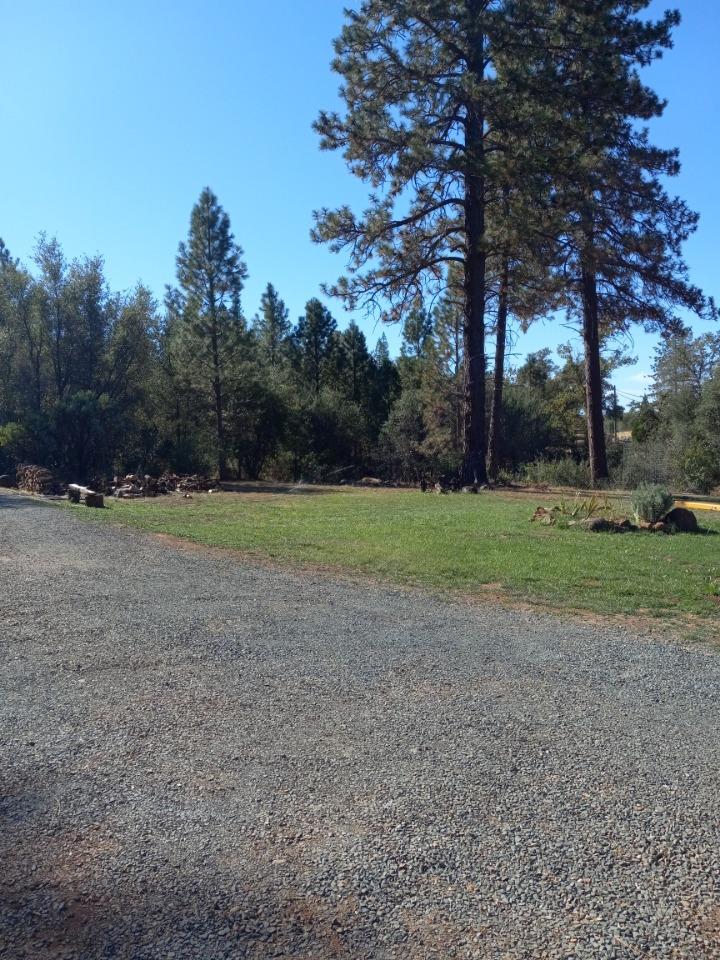 Marysville Road, Oregon House, California image 1