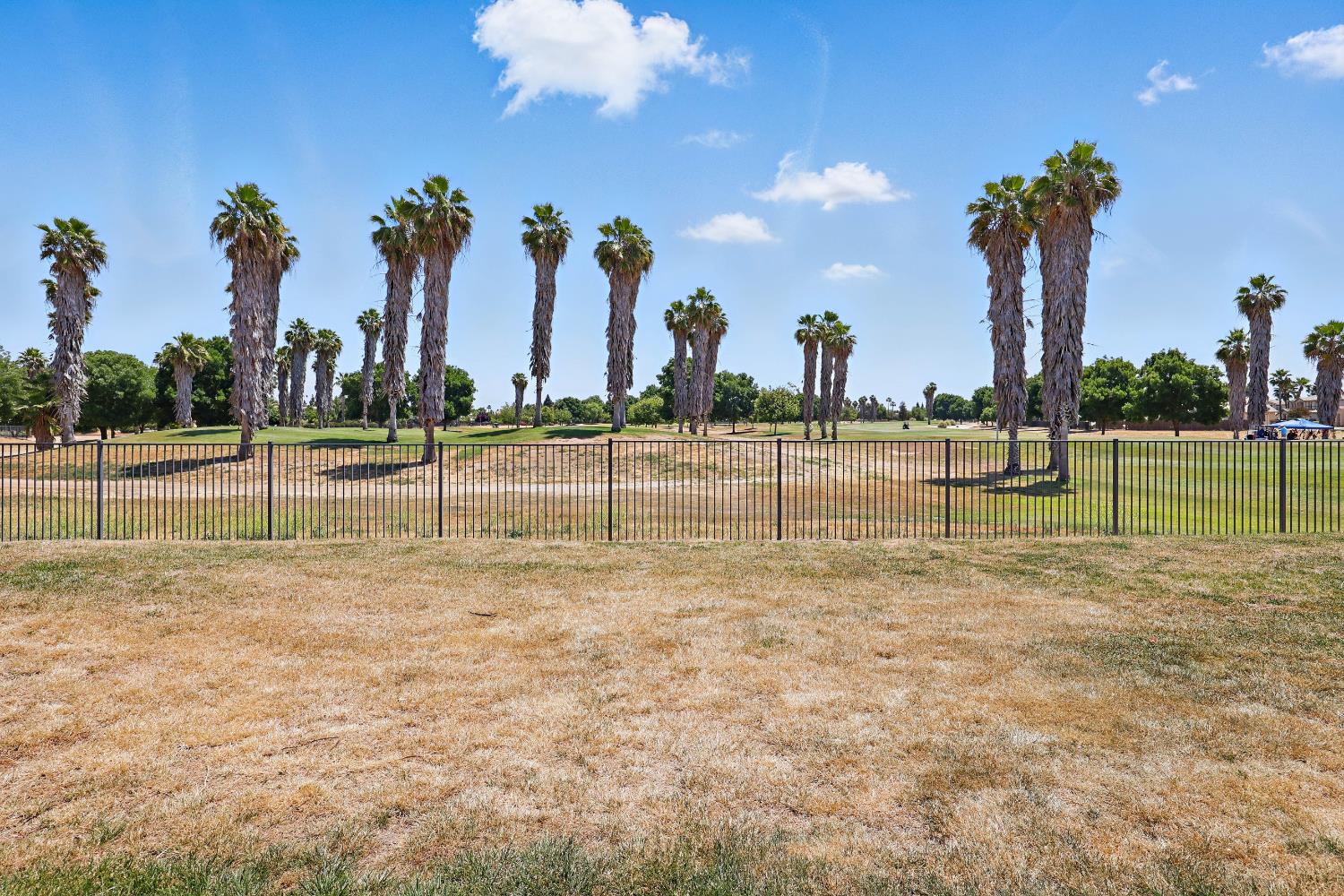 Ridgewood Way, Chowchilla, California image 3