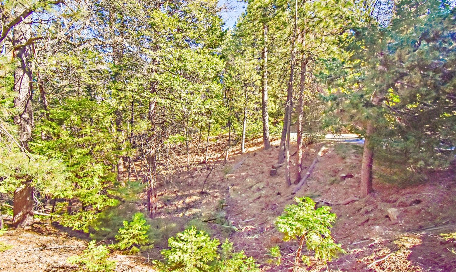 Awahanee Road, Sonora, California image 21