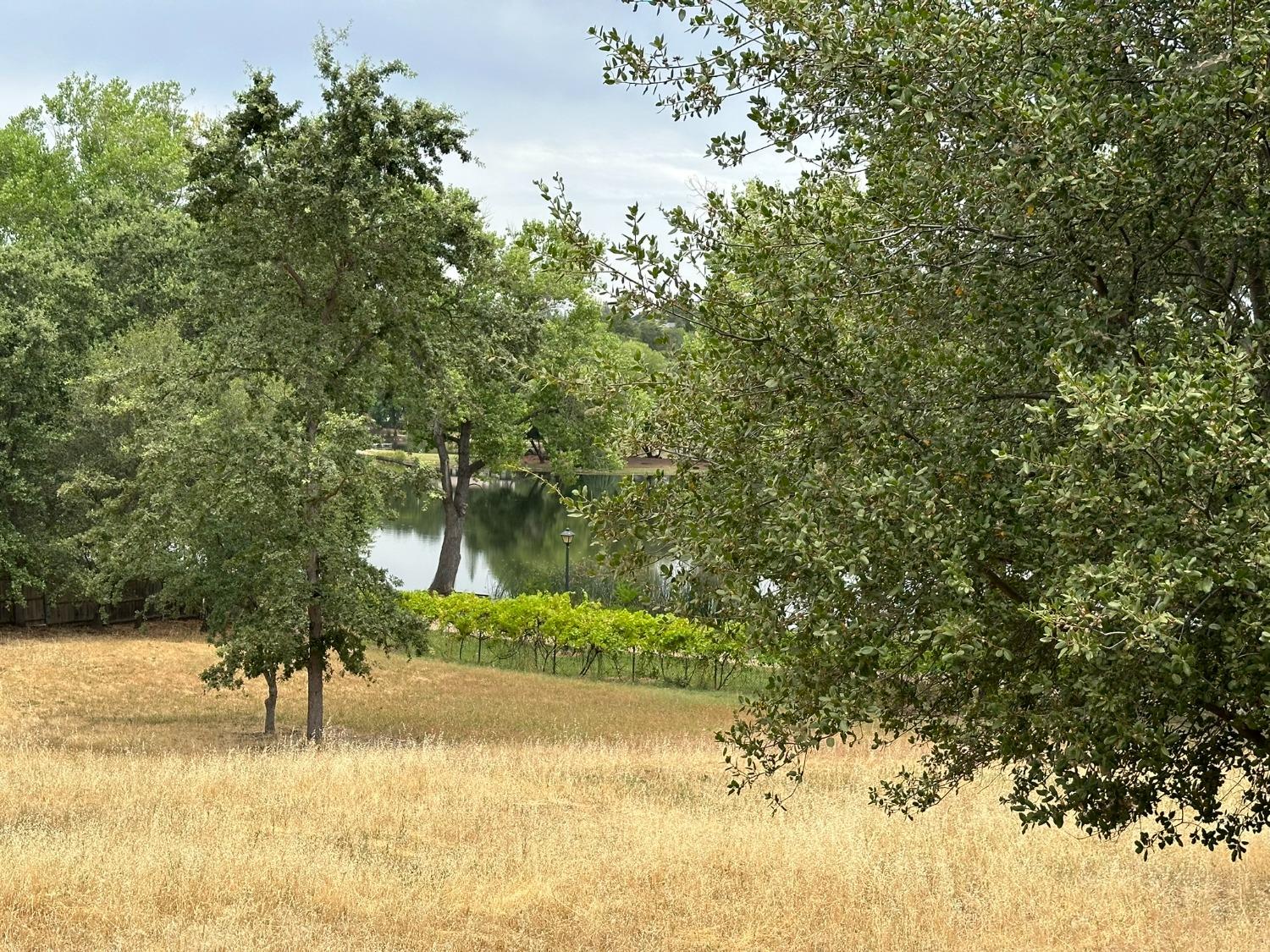 Cambridge Road, Cameron Park, California image 12