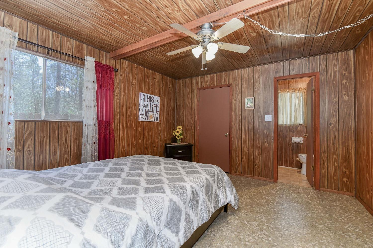Sugar Pine Drive, Pioneer, California image 44