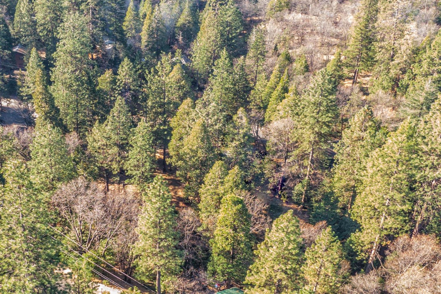 Awahanee Road, Sonora, California image 4
