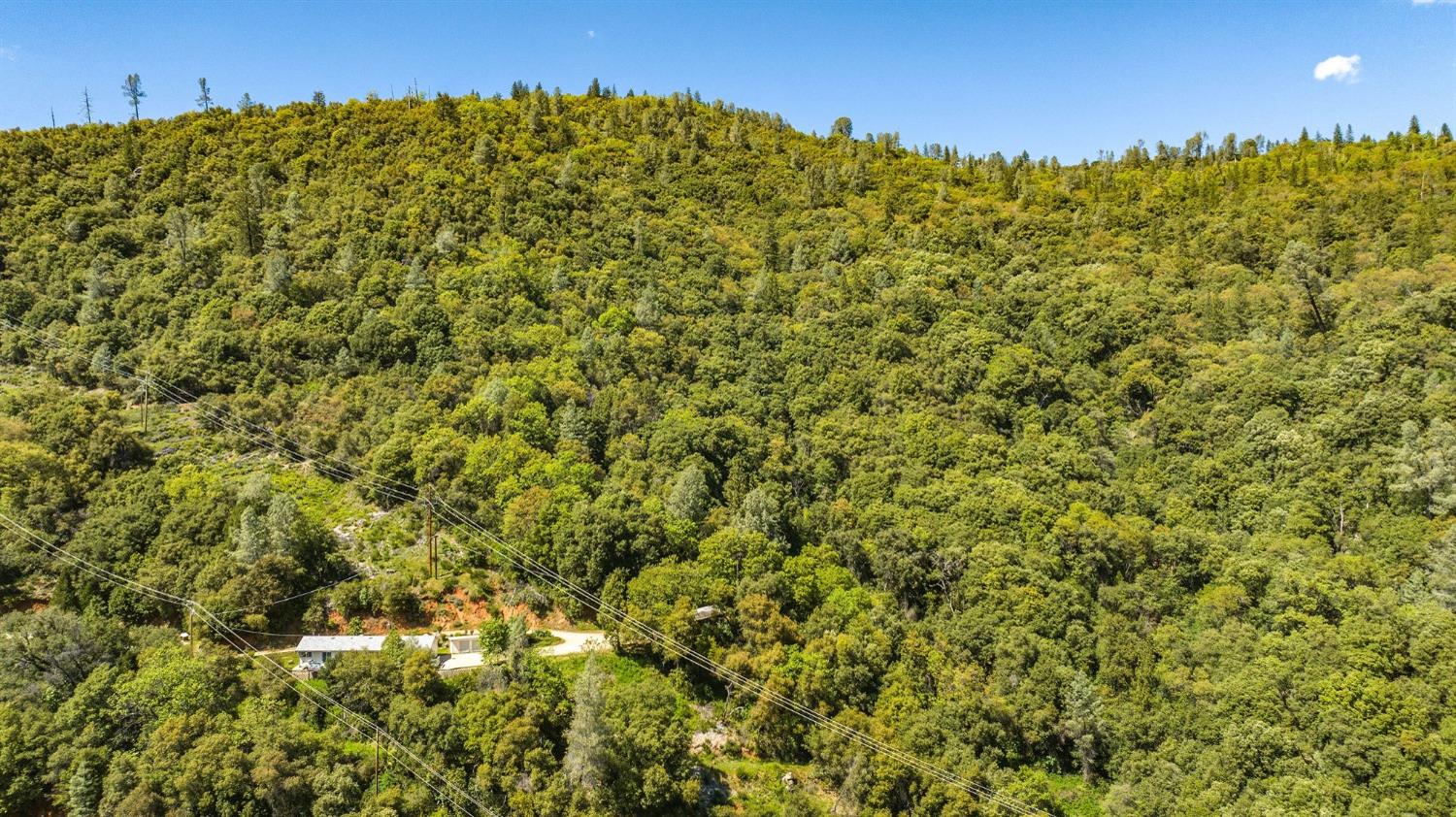12.55 Acres On Red Corral Rd Road, Pioneer, California image 3