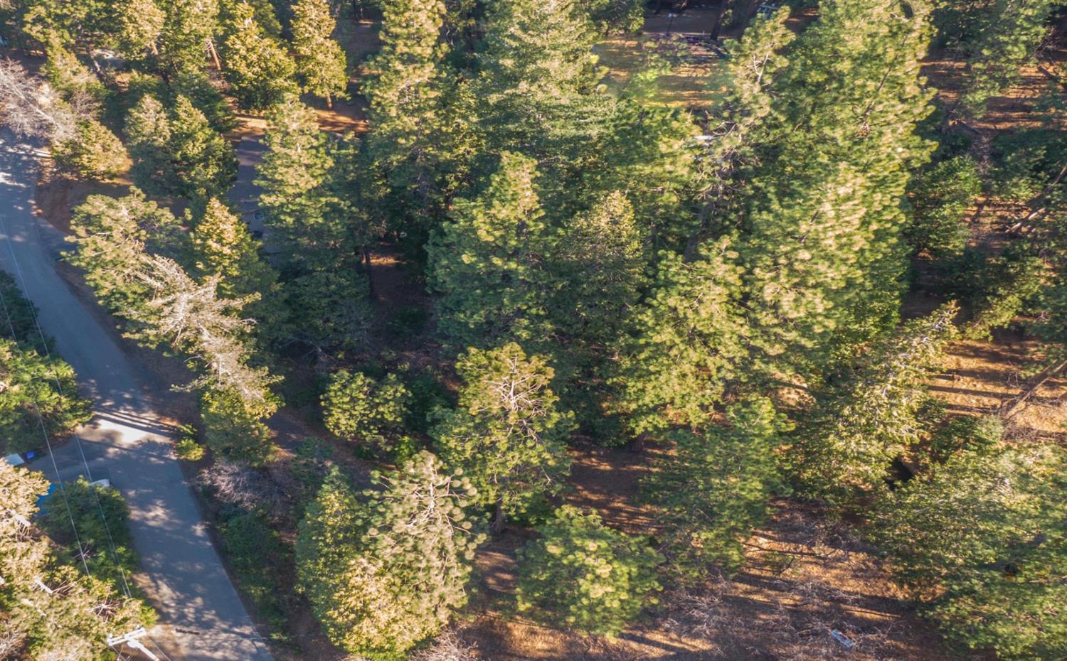 Awahanee Road, Sonora, California image 8