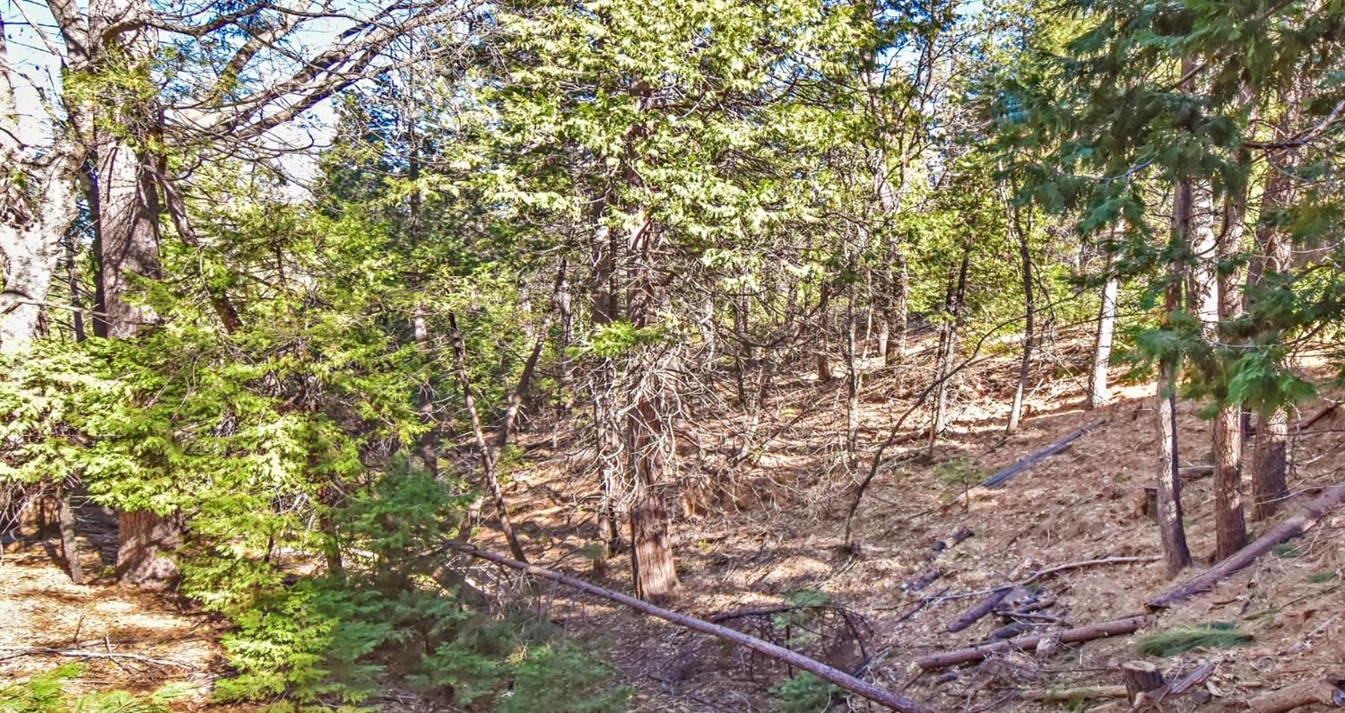 Awahanee Road, Sonora, California image 18