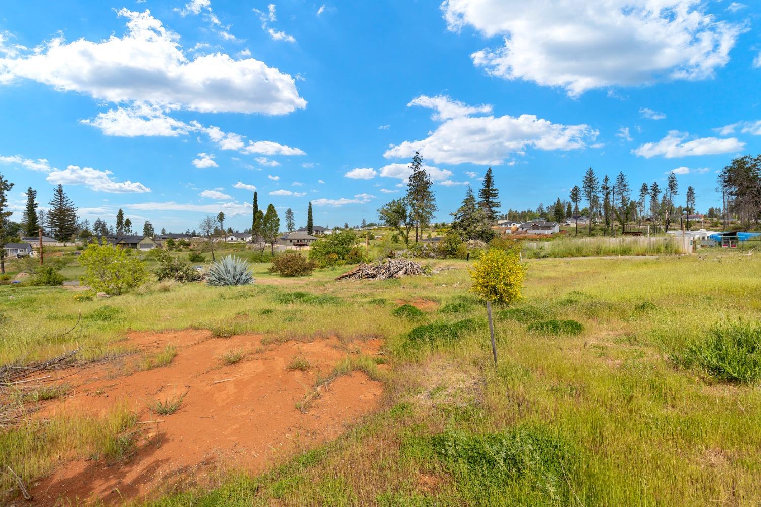 Deerpark Lane, Paradise, California image 4