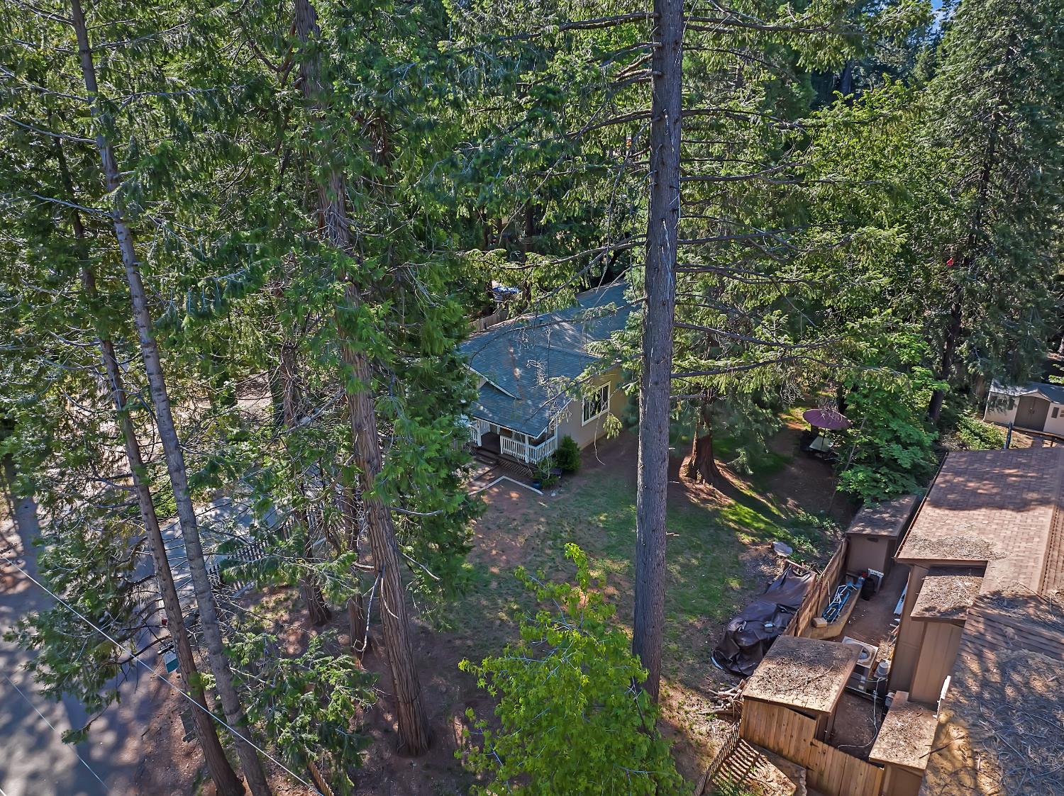 Harrison Street, Foresthill, California image 46